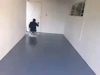 Professional Painters