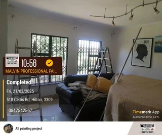 PROFESSIONAL PAINTERS