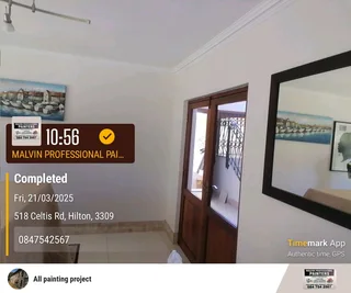 PROFESSIONAL PAINTERS