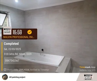 PROFESSIONAL PAINTERS