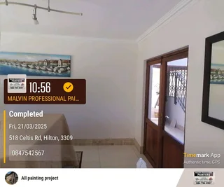 Professional Painters