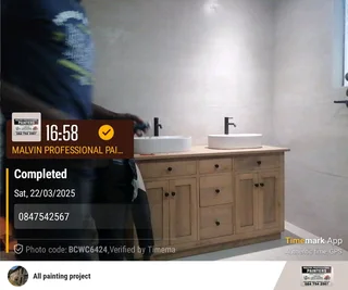 PROFESSIONAL PAINTERS