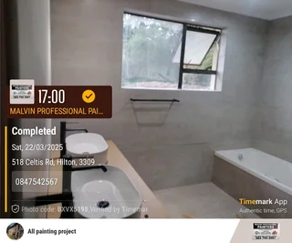 PROFESSIONAL PAINTERS