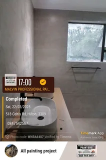 Professional Painters