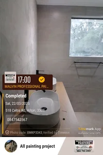 PROFESSIONAL PAINTERS