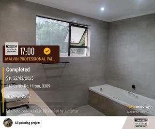 Professional Painters