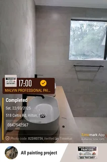 PROFESSIONAL PAINTERS