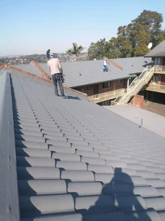 Professional Painters