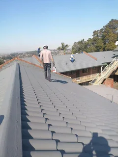 PROFESSIONAL PAINTERS