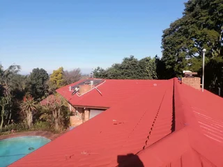 PROFESSIONAL PAINTERS