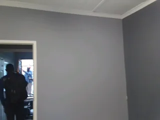 PROFESSIONAL  PAINTERS