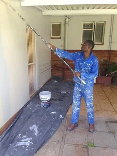 PROFESSIONAL  PAINTERS