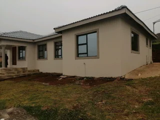 PROFESSIONAL PAINTERS