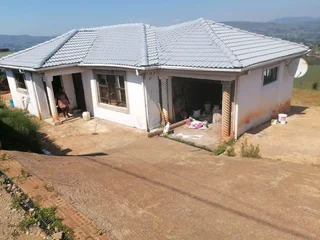 PROFESSIONAL PAINTERS