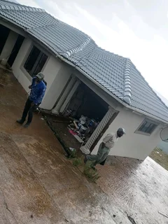 PROFESSIONAL PAINTERS