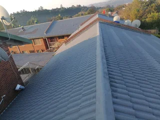 Professional Painters