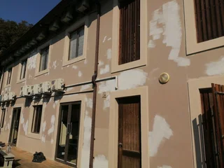 PROFESSIONAL PAINTERS