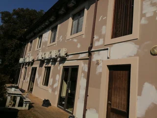 PROFESSIONAL PAINTERS