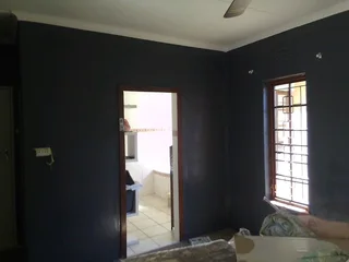 Professional Painters