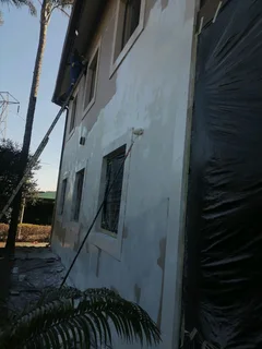 PROFESSIONAL PAINTERS