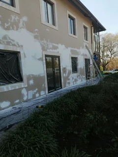 PROFESSIONAL PAINTERS