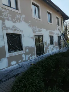 PROFESSIONAL PAINTERS