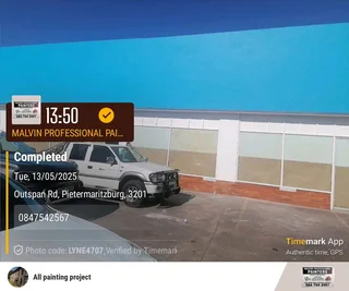 Professional Painters