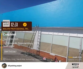 PROFESSIONAL PAINTERS