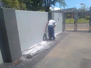 PROFESSIONAL PAINTERS