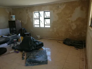 PROFESSIONAL PAINTERS