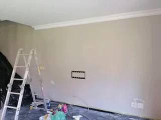 PROFESSIONAL PAINTERS