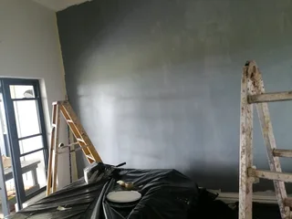 PROFESSIONAL PAINTERS