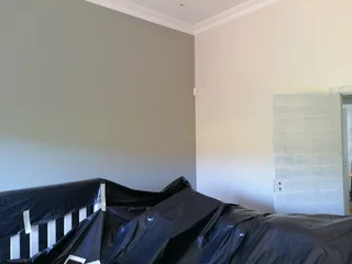 PROFESSIONAL PAINTERS