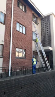 Professional Painters