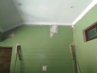 PROFESSIONAL PAINTERS