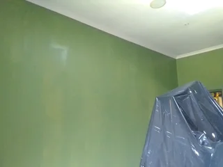 PROFESSIONAL PAINTERS