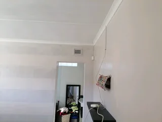 PROFESSIONAL PAINTERS