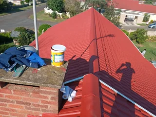 PROFESSIONAL PAINTERS