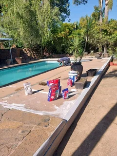 PROFESSIONAL PAINTERS