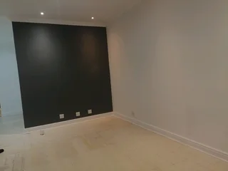 Professional Painters