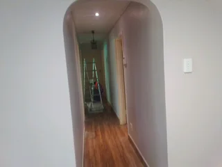 Professional Painters