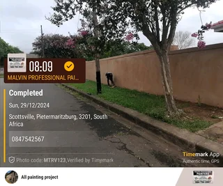 PROFESSIONAL PAINTERS