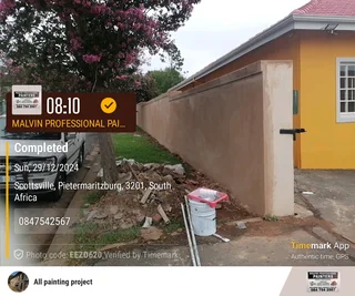 PROFESSIONAL PAINTERS