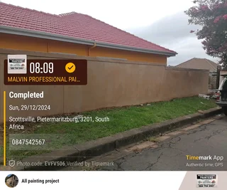 PROFESSIONAL PAINTERS