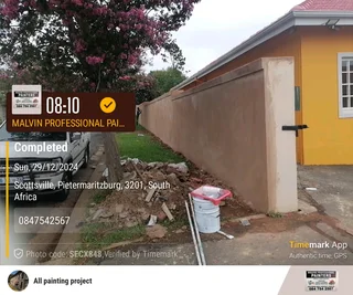 PROFESSIONAL PAINTERS