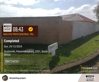 PROFESSIONAL PAINTERS