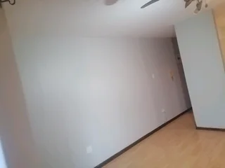 PROFESSIONAL PAINTERS