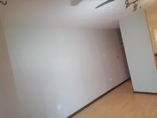 PROFESSIONAL PAINTERS