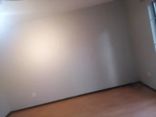 PROFESSIONAL PAINTERS