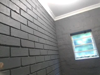 PROFESSIONAL PAINTERS